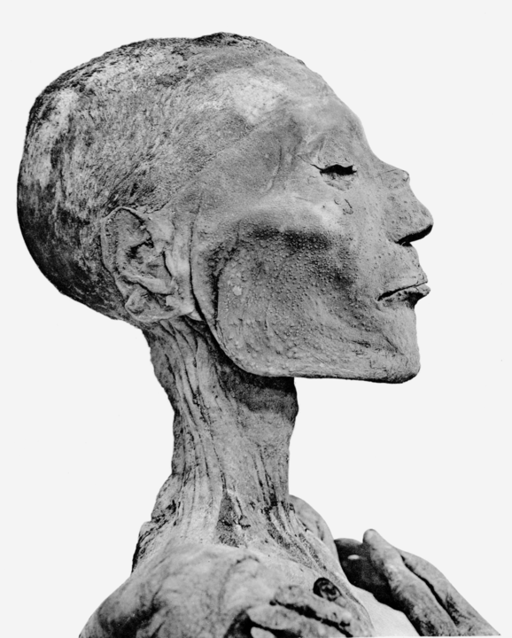 Momia del Faraón Ramsés V